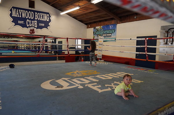 Maywood.Boxing.Club.026