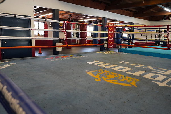 Maywood.Boxing.Club.057