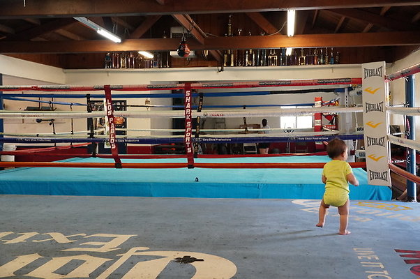 Maywood.Boxing.Club.060