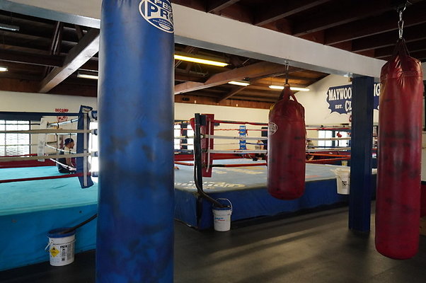 Maywood.Boxing.Club.037