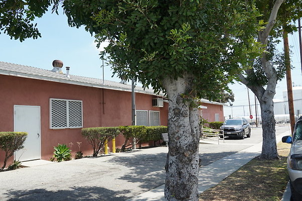 Maywood.Boxing.Club.103
