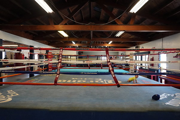 Maywood.Boxing.Club.052