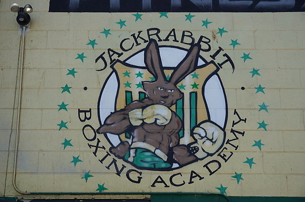 Jack Rabbit Boxing.LBC