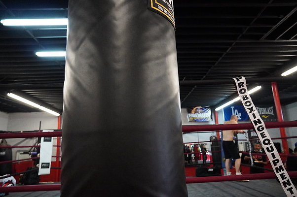 Knock.Out.Box.So.Gate.032