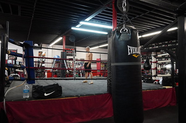 Knock.Out.Box.So.Gate.058