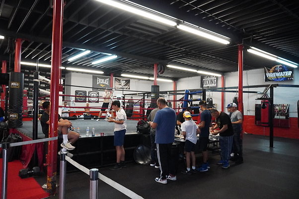 Knock.Out.Box.So.Gate.075