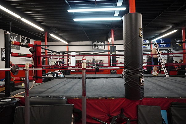 Knock.Out.Box.So.Gate.029