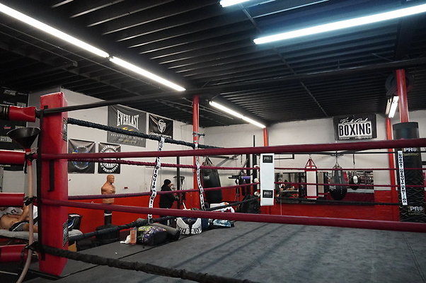 Knock.Out.Box.So.Gate.031