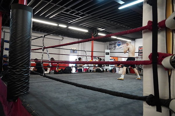 Knock.Out.Box.So.Gate.048