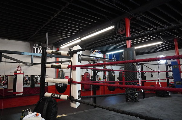 Knock.Out.Box.So.Gate.040