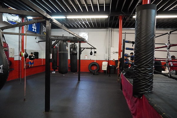 Knock.Out.Box.So.Gate.047