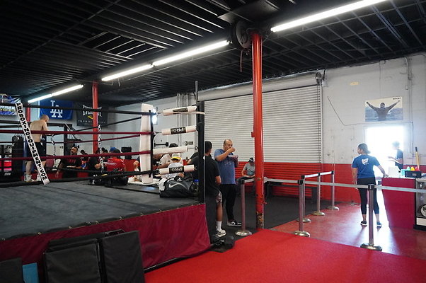 Knock.Out.Box.So.Gate.030