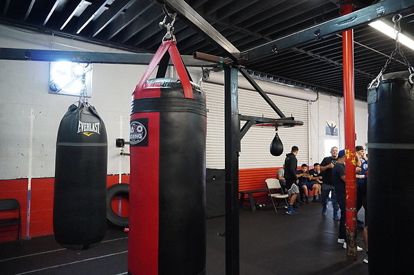 Knock.Out.Box.So.Gate.062