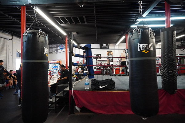 Knock.Out.Box.So.Gate.063