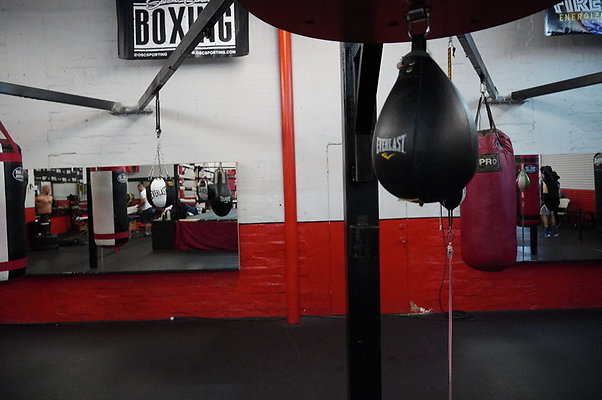 Knock.Out.Box.So.Gate.053