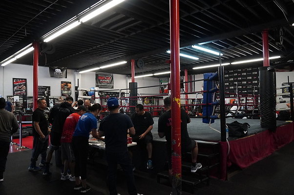 Knock.Out.Box.So.Gate.066