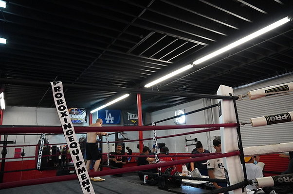 Knock.Out.Box.So.Gate.033
