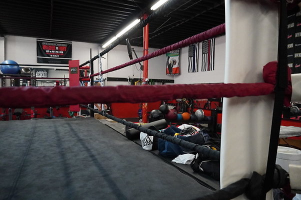 Knock.Out.Box.So.Gate.051