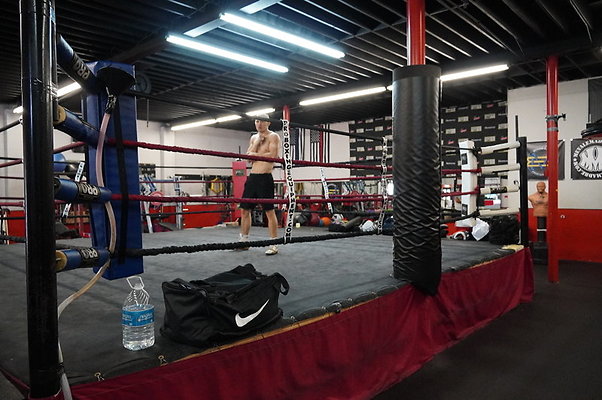 Knock.Out.Box.So.Gate.057