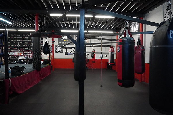 Knock.Out.Box.So.Gate.067