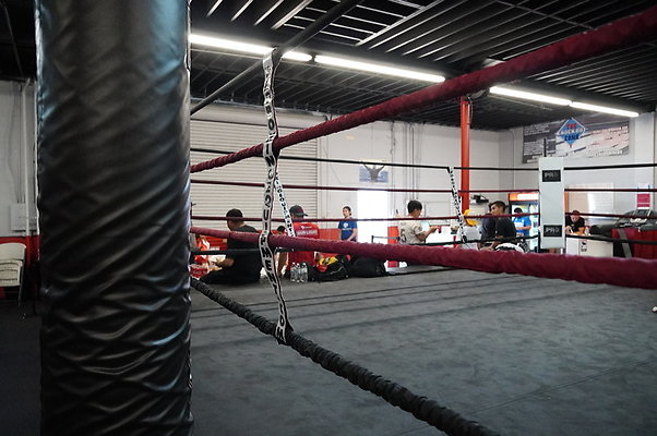 Knock.Out.Box.So.Gate.049