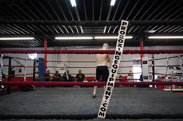 Knock.Out.Box.So.Gate.041