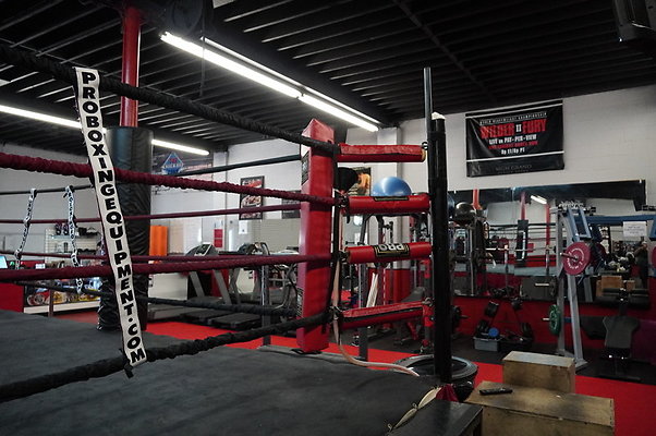 Knock.Out.Box.So.Gate.042
