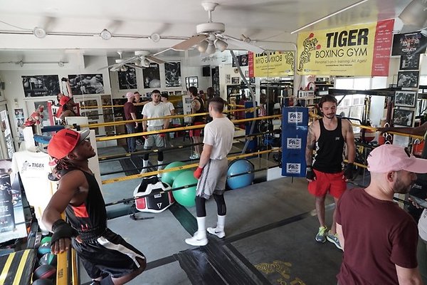 Tiger.Boxing.14