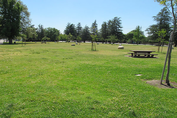 Grounds-Grass Areas-4