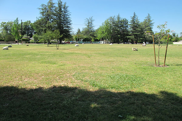 Grounds-Grass Areas-2