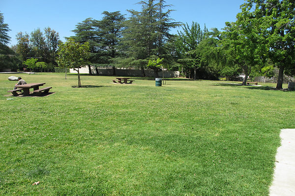 Grounds-Grass Areas-3