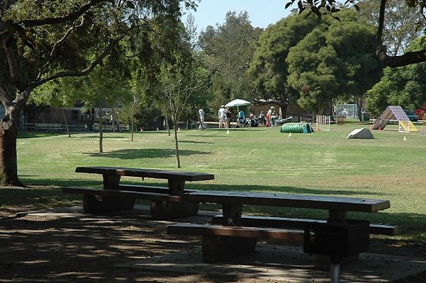 DSC 0139