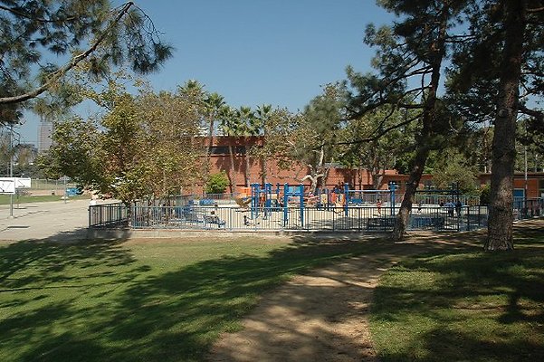 DSC 0197