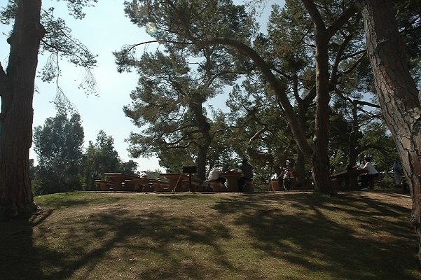 DSC 0177