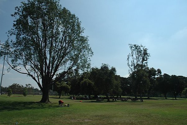 DSC 0113