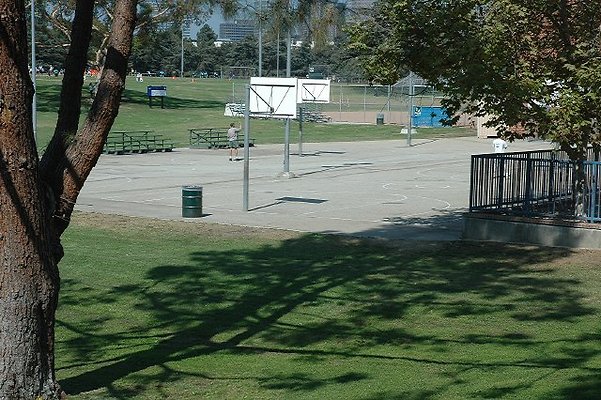 DSC 0195
