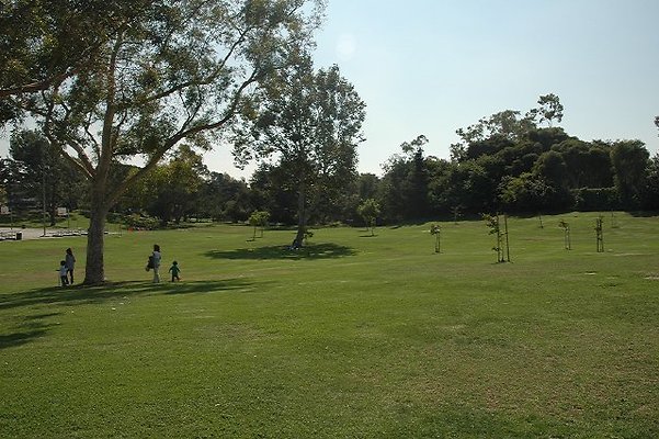 DSC 0206
