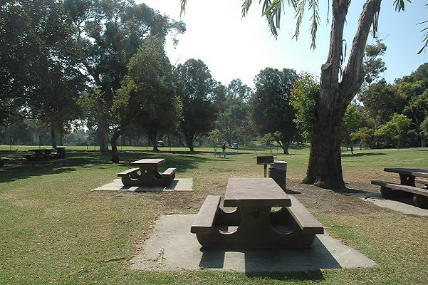 DSC 0125