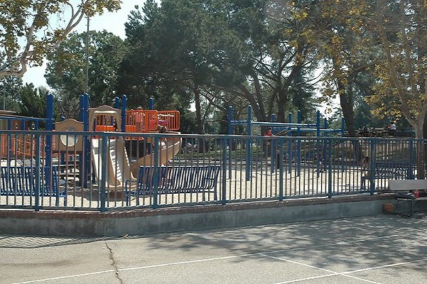 DSC 0147