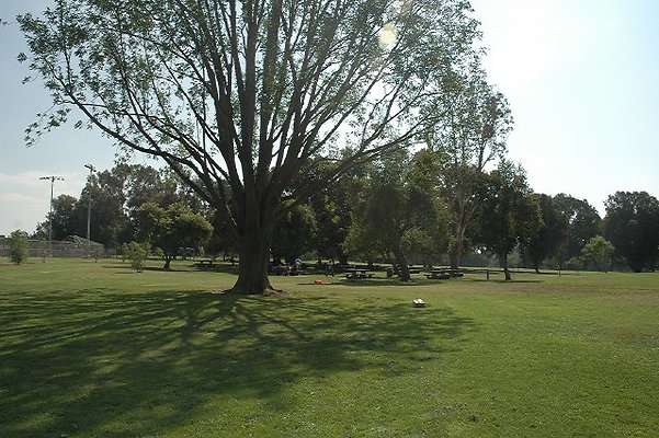 DSC 0114