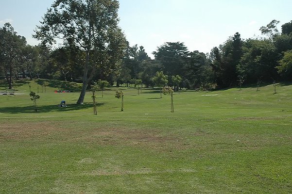 DSC 0215