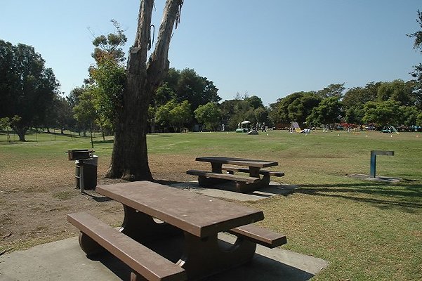 DSC 0126