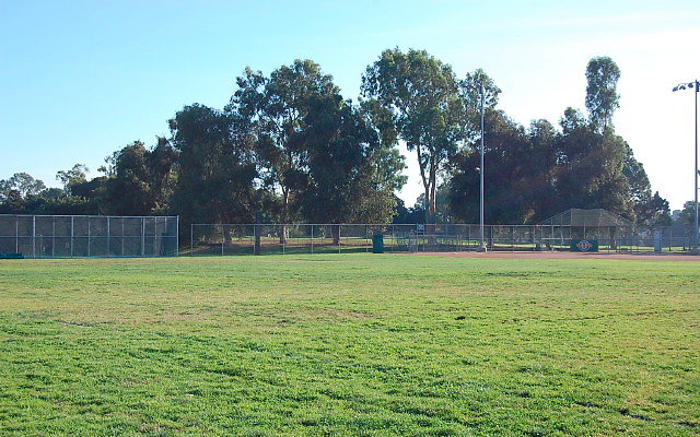 DSC 0172
