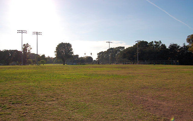 DSC 0160