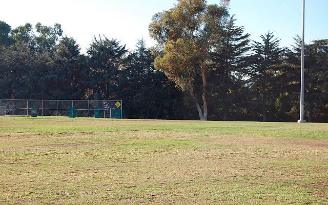 DSC 0164