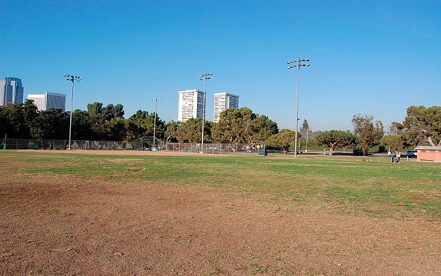 DSC 0162