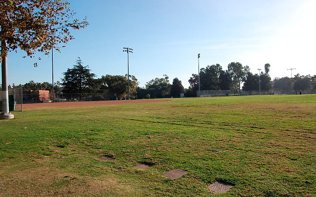 DSC 0151