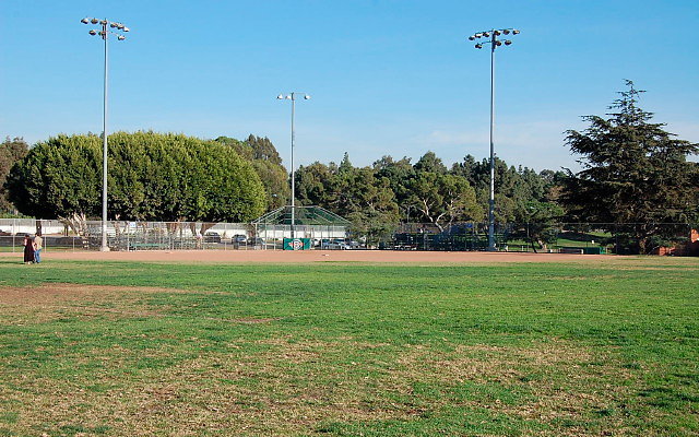 DSC 0170