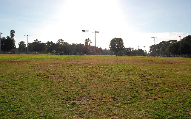 DSC 0158