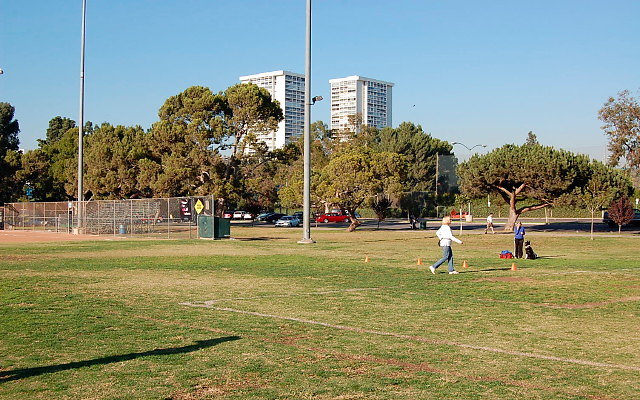 DSC 0154